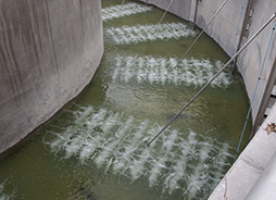 Dr.-Ing. Steinle – Ingenieurgesellschaft für Abwassertechnik GmbH - Kommunale und industrielle Abwasser- und Schlammbehandlung